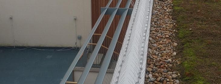 Pigeon & Bird Control Spikes London