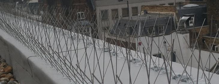 Anti Pigeon Spikes & Bird Spikes